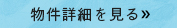 詳細を見る